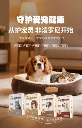 宠物药品海报