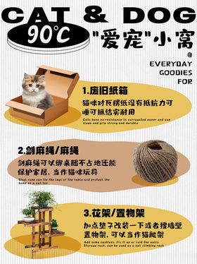 宠物科普封面