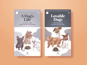 两本可爱宠物主题书籍