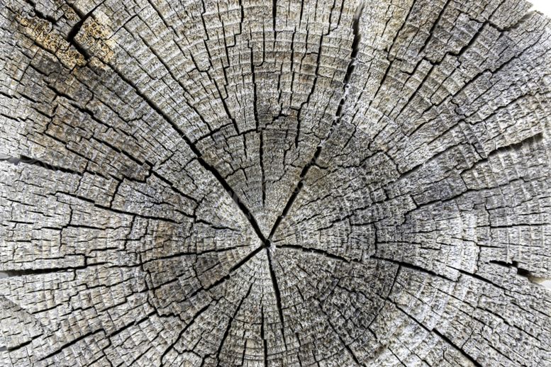 编号：37910409261318155415【酷图网】源文件下载-木纹纹理