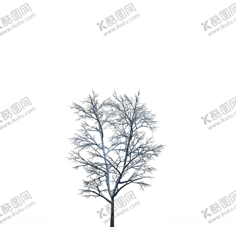编号：21343707040616119941【酷图网】源文件下载-树木