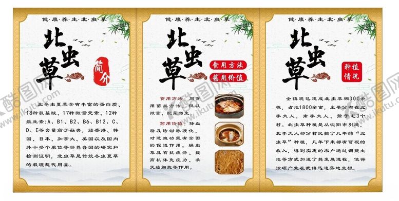 编号：85722612230637578026【酷图网】源文件下载-虫草花北虫草简介展板