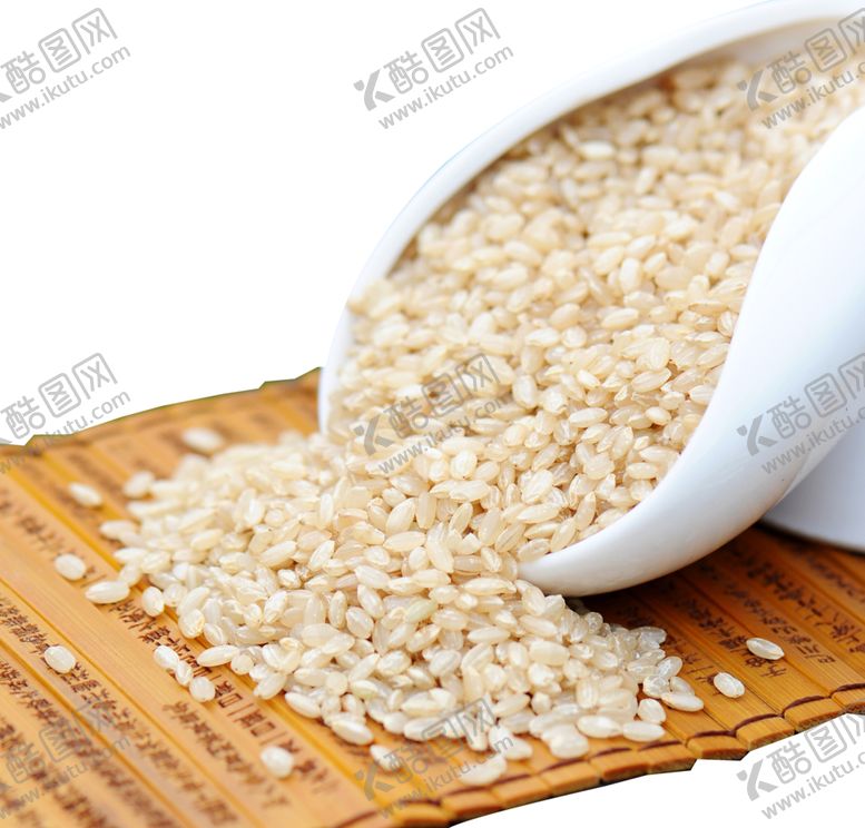 编号：68828906280059122904【酷图网】源文件下载-小米小麦食物食材植物素材