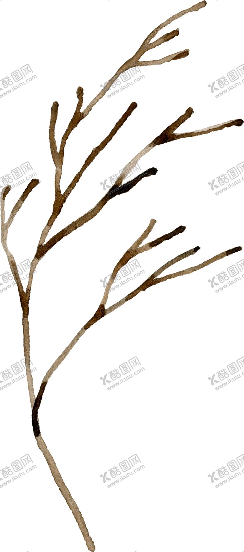 编号：75778310021251284751【酷图网】源文件下载-水彩绘画花朵树枝装饰