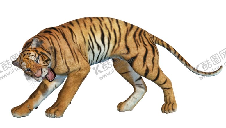 编号：18020710101256106801【酷图网】源文件下载-老虎