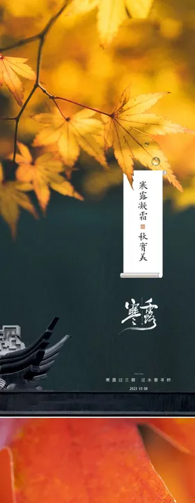 寒露节气海报枫叶卷轴中式
