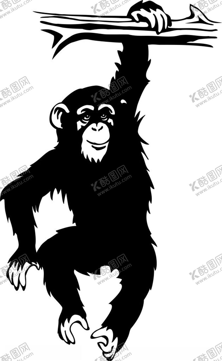编号：28080802170611007432【酷图网】源文件下载-手绘动物猴子