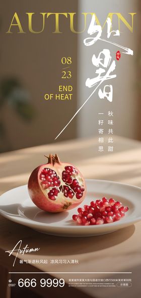 处暑秋分实景节气海报