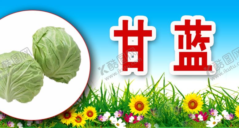 编号：70072909202349377494【酷图网】源文件下载-甘蓝