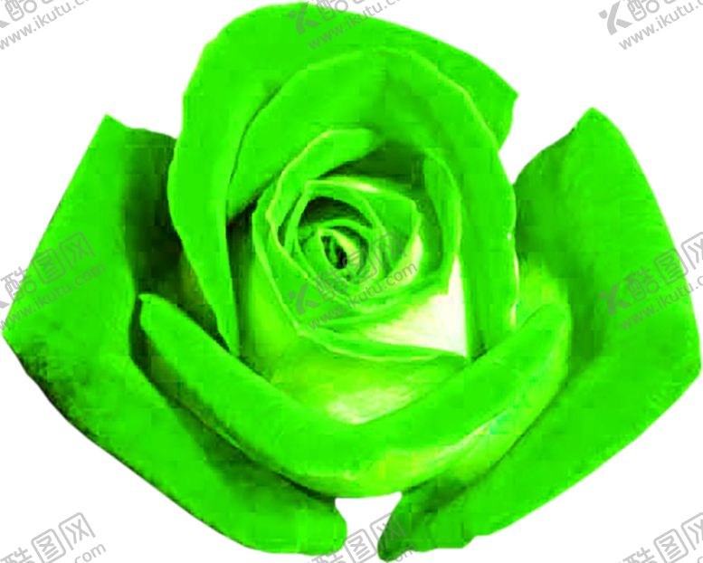 编号：82964210080706131506【酷图网】源文件下载-花素材