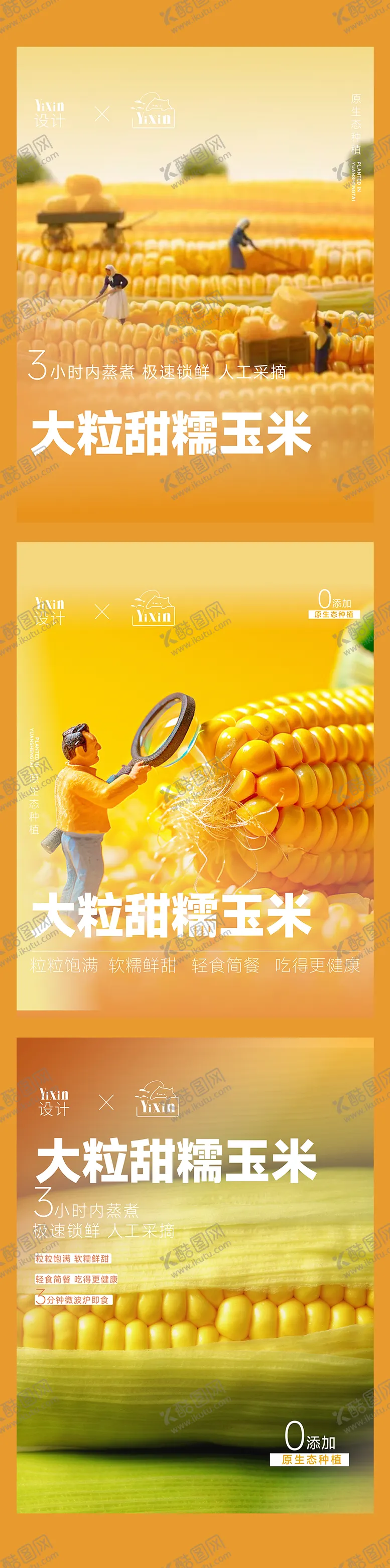 编号：11401804170707216968【酷图网】源文件下载-玉米食品食物速食品海报