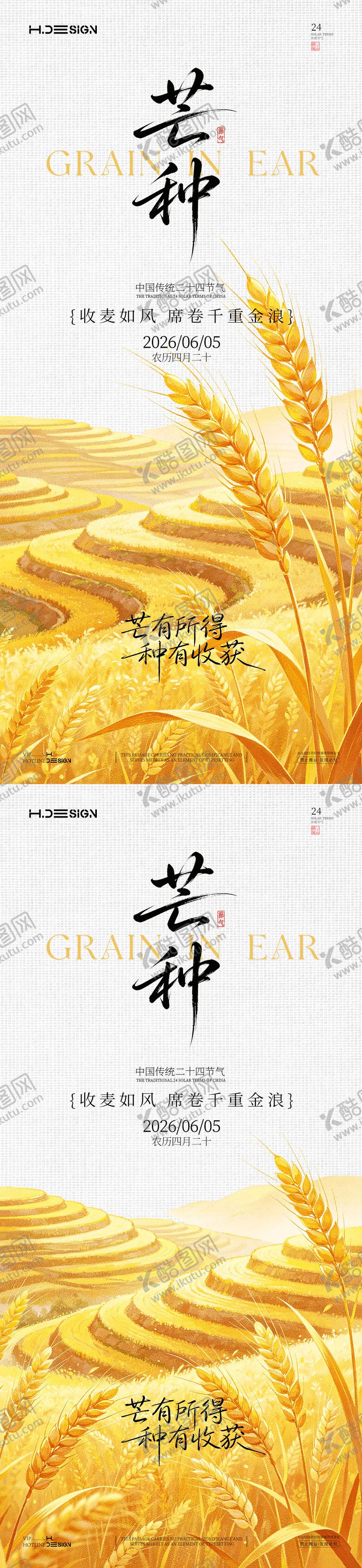 编号：11952305312349072628【酷图网】源文件下载-芒种二十四节气海报