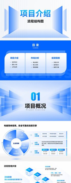 项目介绍流程图