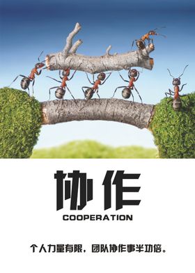企业文化展板协作