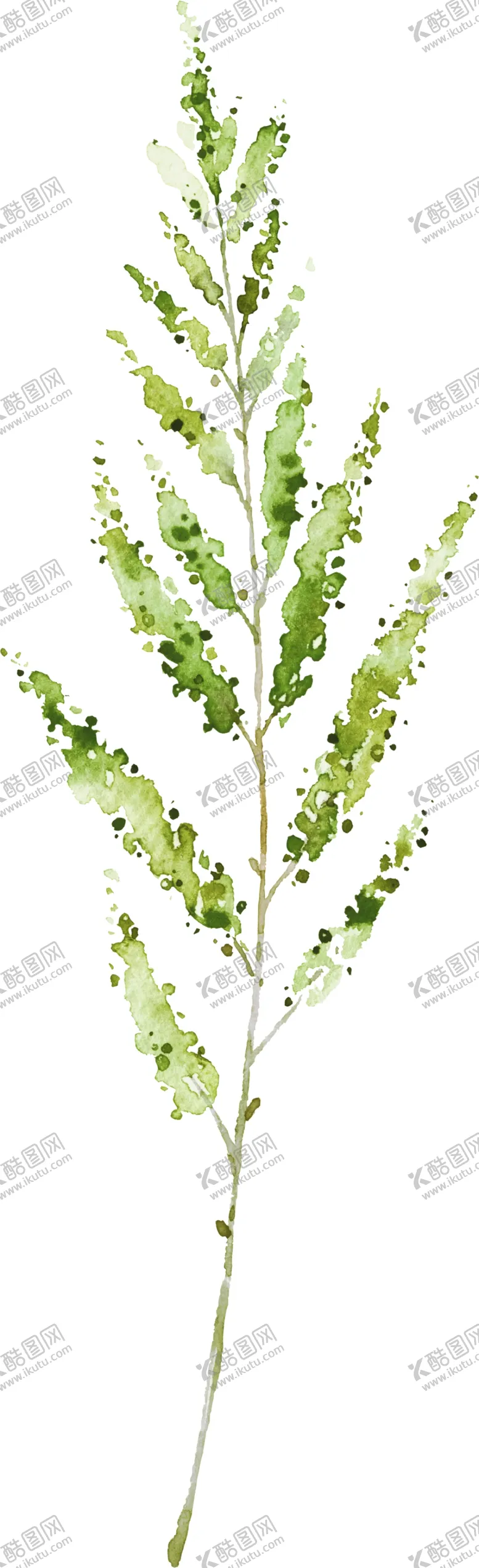 编号：17545803091825091732【酷图网】源文件下载-水彩植物