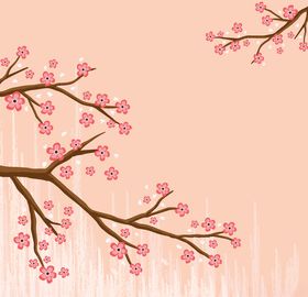 樱花