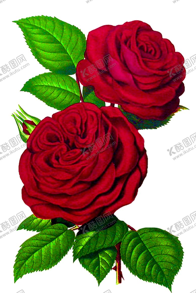 编号：89933410161306404307【酷图网】源文件下载-浪漫素材