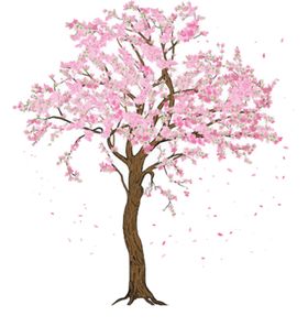 手绘樱花素材