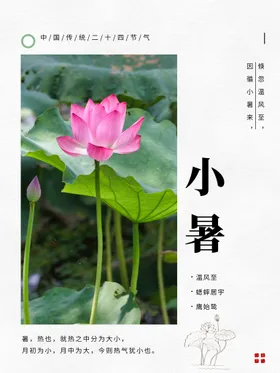小暑单图节气海报地产海报节日