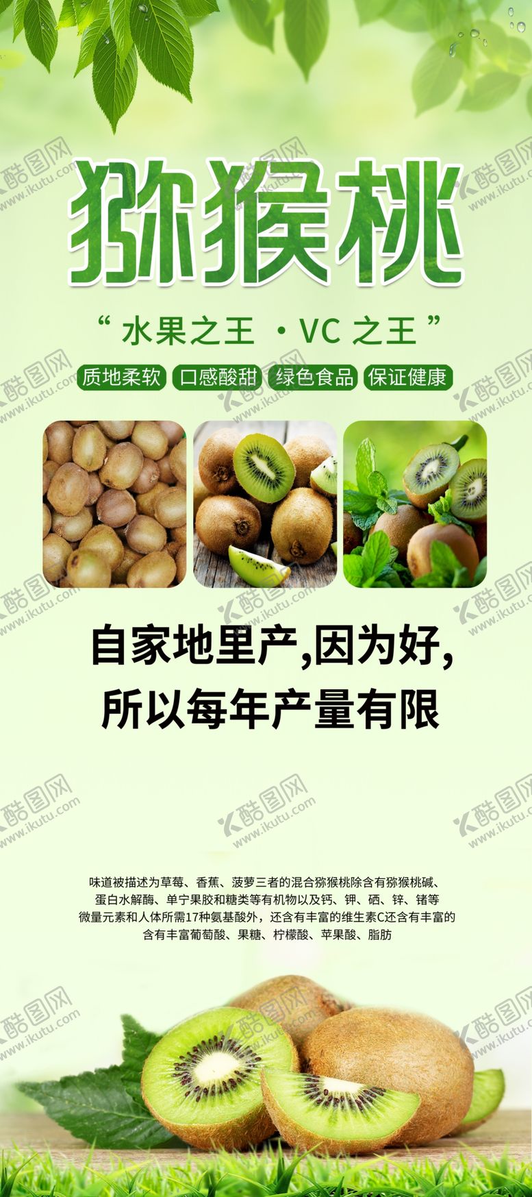 编号：42710212221407489441【酷图网】源文件下载-猕猴桃