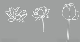 矢量荷花