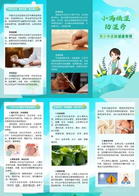 小满三折页健康生活知识宣传页