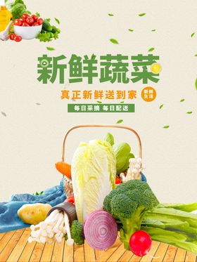 新鲜蔬菜