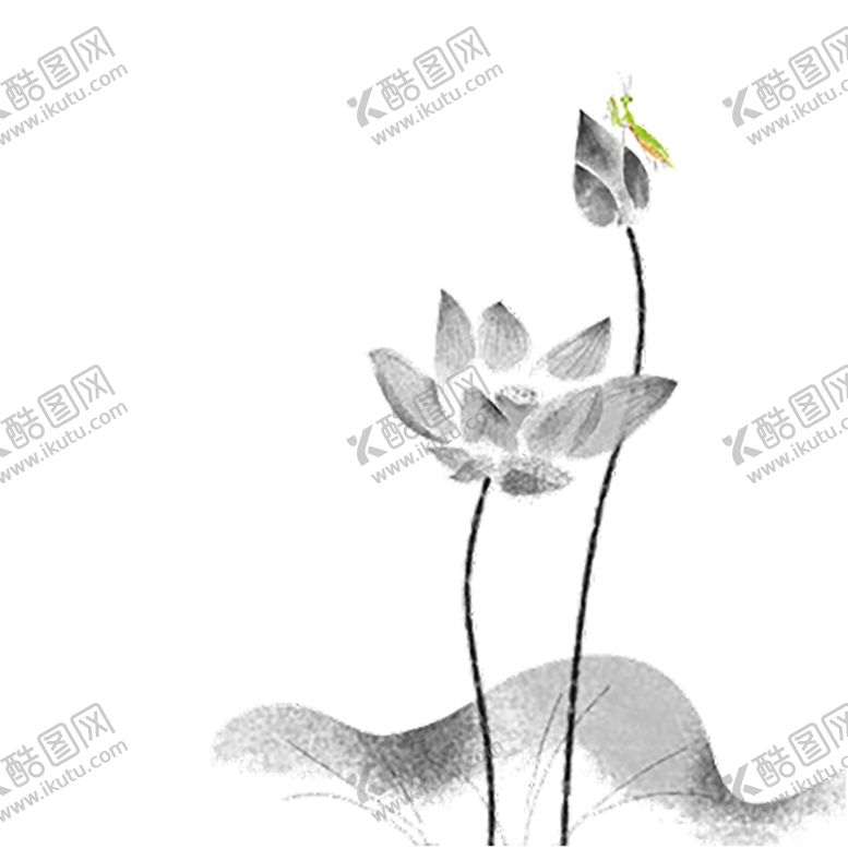 编号：31091805172214481154【酷图网】源文件下载-水墨荷花粉色荷花荷花意境