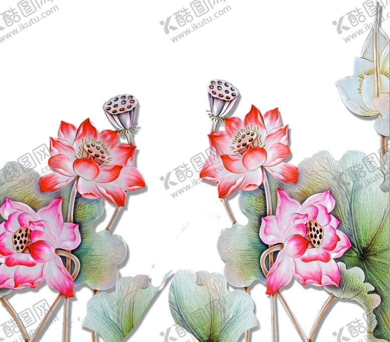编号：39211810241612307967【酷图网】源文件下载-荷花