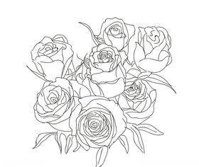 玫瑰花