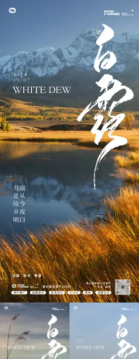 白露节气海报风景芦苇二十四月亮