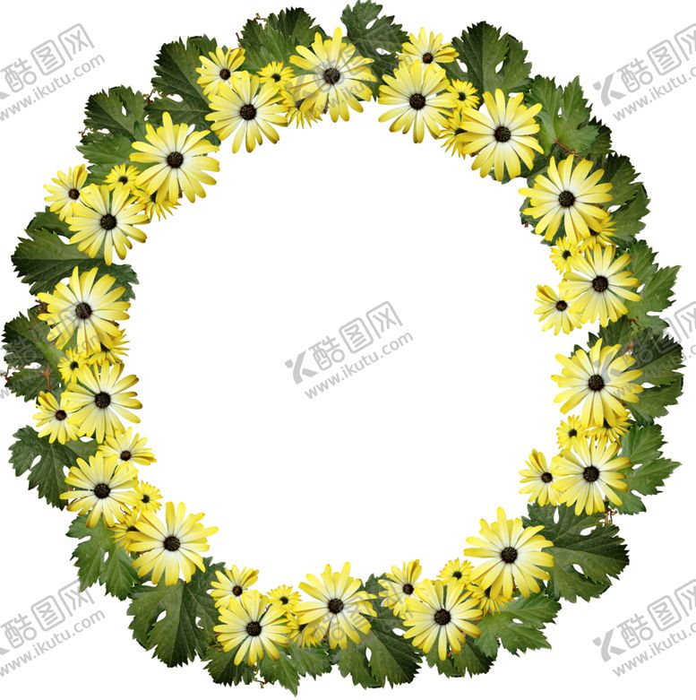 编号：47428702161622404922【酷图网】源文件下载-鲜花