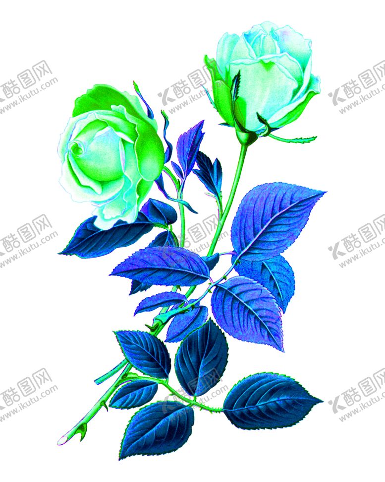 编号：68218409120222238167【酷图网】源文件下载-花素材