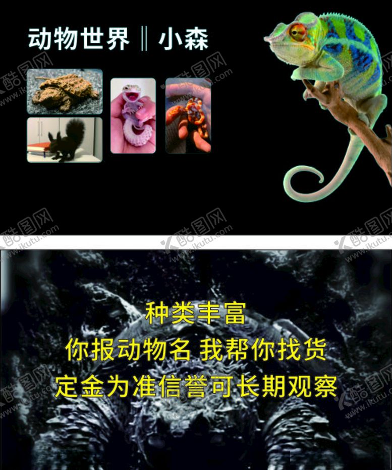 编号：68440710211212434705【酷图网】源文件下载-名片模板名片设计名片图片