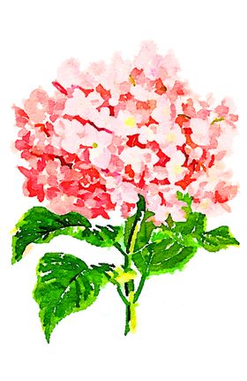 浪漫素材