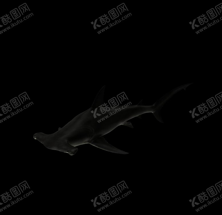 编号：70239407132338539344【酷图网】源文件下载-海洋生物