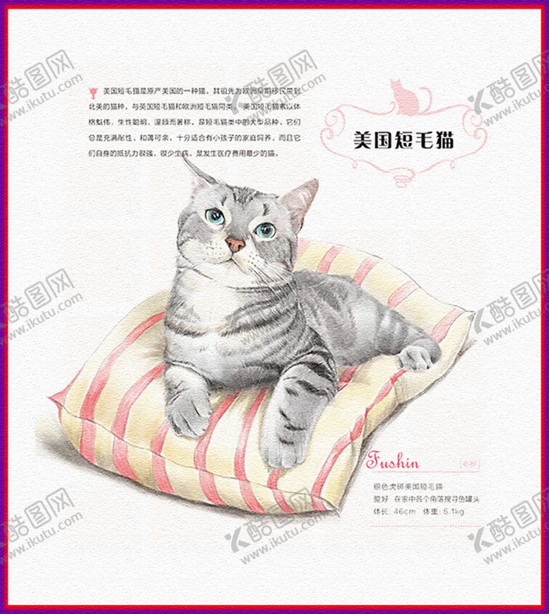 编号：97909209210306042750【酷图网】源文件下载-手绘猫咪