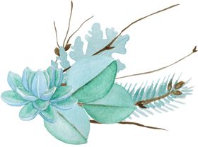 彩绘水彩花