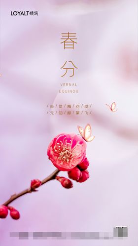 春分海报宣传