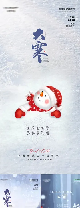 大寒可爱节气海报