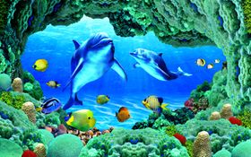 海底世界图片