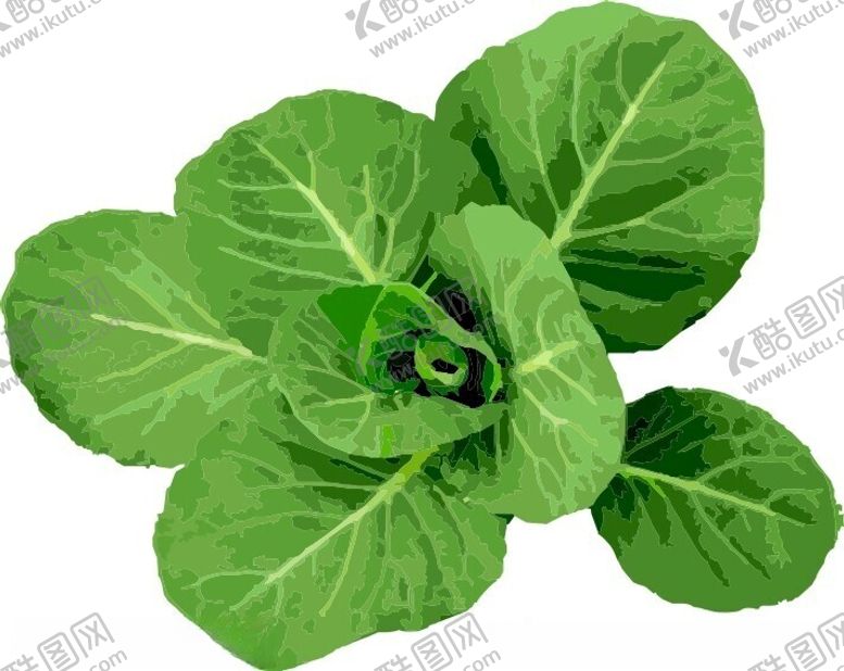 编号：51865212100508393115【酷图网】源文件下载-蔬菜植物矢量图