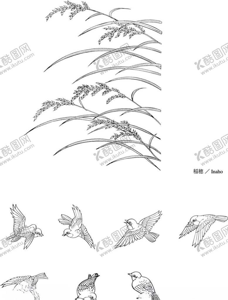 编号：28182610240657228987【酷图网】源文件下载-日本线描植物花卉矢量素材