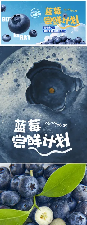 蓝莓水果上市海报