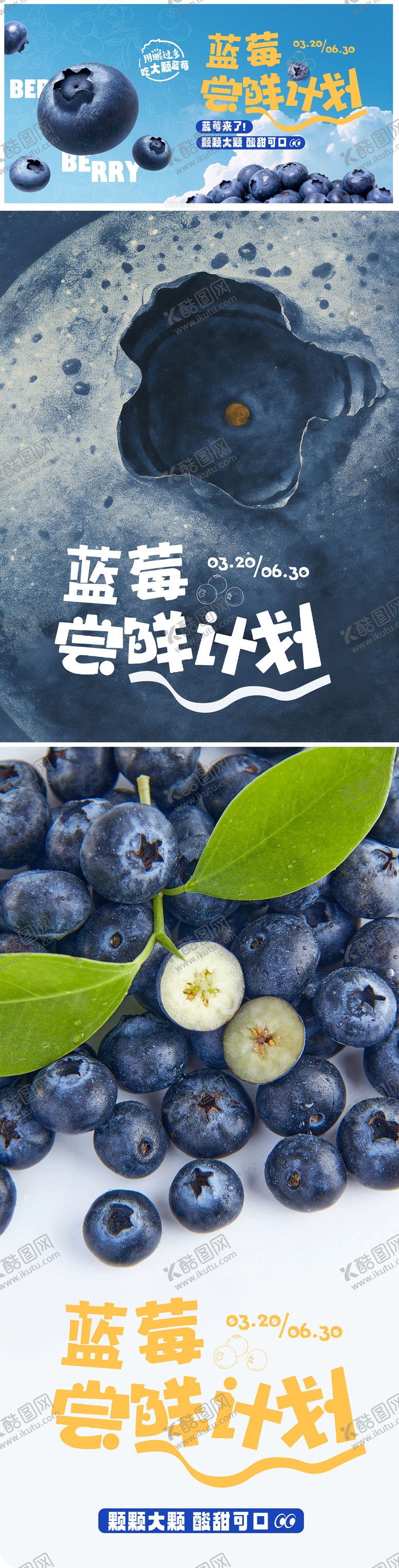 编号：89635404051249443776【酷图网】源文件下载-蓝莓水果上市海报