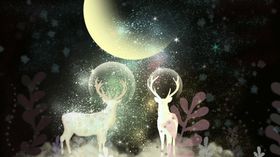 卡通梦幻