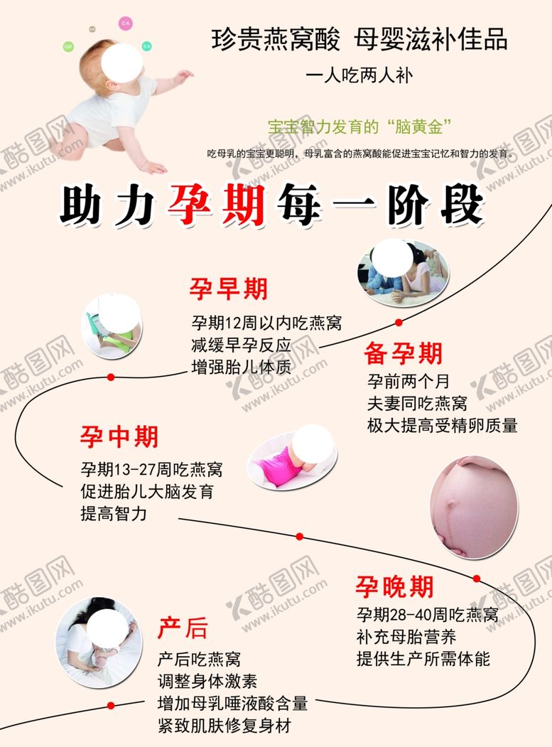 编号：54250205021453426316【酷图网】源文件下载-燕窝