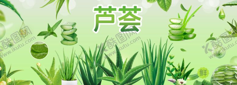 编号：86397710260046118733【酷图网】源文件下载-芦荟展板