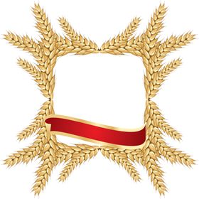 透明小麦png素材