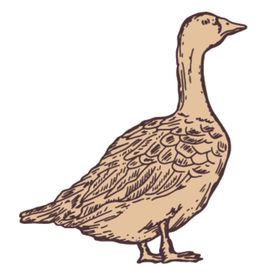家养动物主题插画